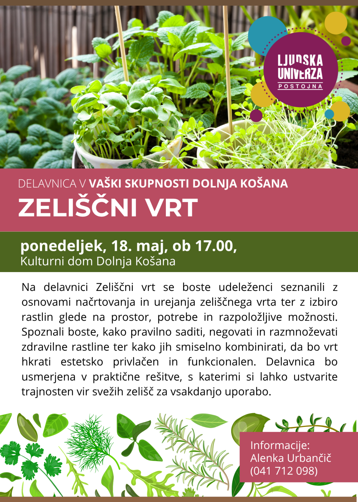 zeliščni vrt _ košana